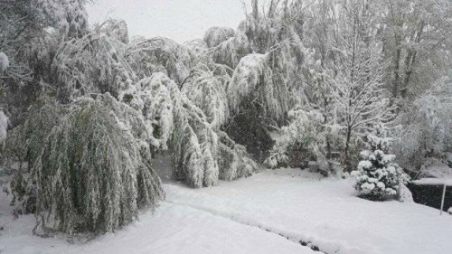 Tuzluca’da Kar Yağışı