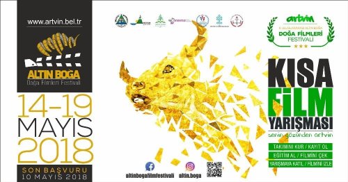 Uluslararası Altın Boğa Doğa Filmleri Festivalinin 2’ncisi Başlıyor