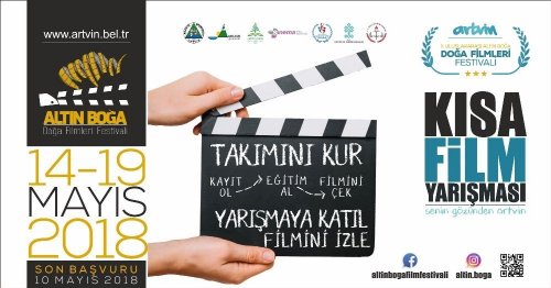 Uluslararası Altın Boğa Doğa Filmleri Festivalinin 2’ncisi Başlıyor