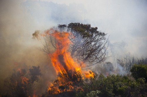 Ümit Burnu’ndaki Yangın Söndürülemiyor