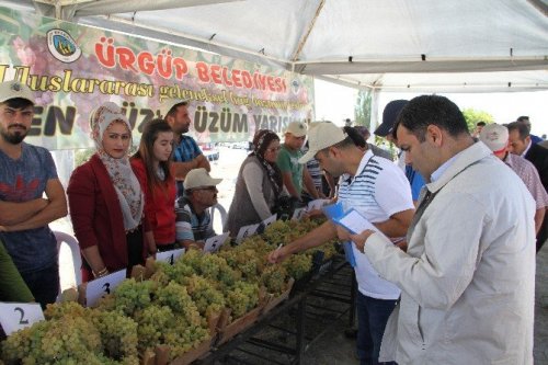 Ürgüp’te En Hızlı Üzüm Yeme Yarışması
