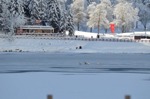 Uzungöl Buz Tuttu