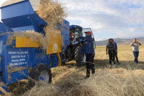 Vali Bilmez, Çiftçilerle Birlikte Tarlada Hasat Yaptı