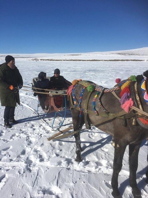 Vali Doğan, Çıldır Gölü’nde Atlı Kızakla Gezdi