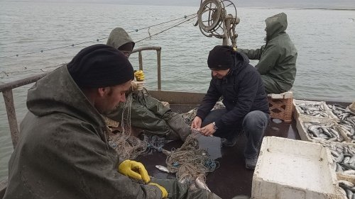 Van Gölü’nde Av Yasağı Başlıyor