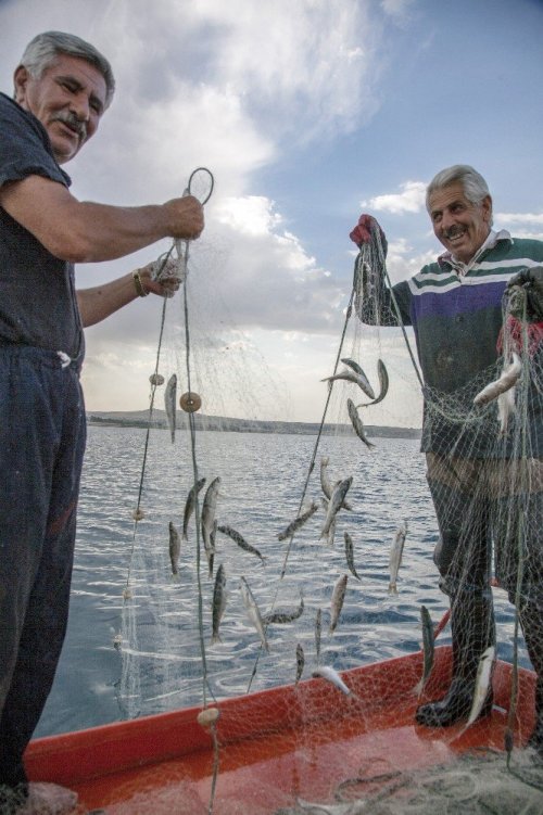 Van Gölü'nde İnci Kefali Avı Başladı