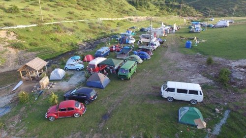 'Vosvos'lar Yaylalarda Tur Atıyor