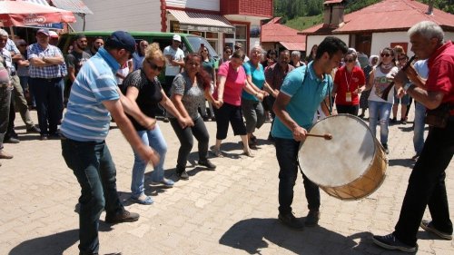 'Vosvos'lar Yaylalarda Tur Atıyor