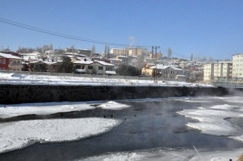 Yaban Ördekleri 'Şehir Merkezi'ne Geldi