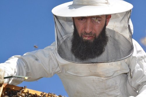 Yatay Kovan Üretti, İki Kat Bal Elde Etti