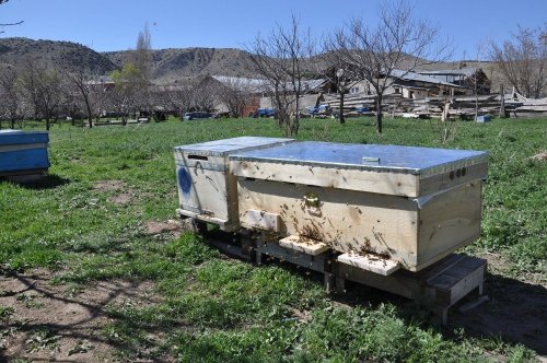 Yatay Kovan Üretti, İki Kat Bal Elde Etti