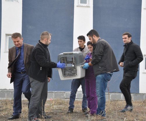 'Yavru Güvercinleri' Sevgiyle Büyüttüler