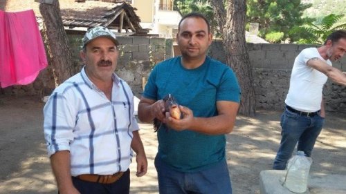Yeşilırmak’ta Pirana Buldular