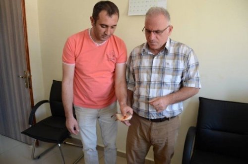Yeşilırmak’ta Pirana Buldular