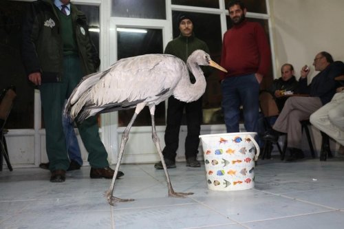 Yorgun Turnaya Vatandaşlar Sahip Çıktı